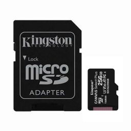 KINGSTON SDCS2/256GB
